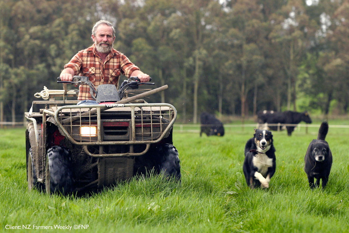 NZ Farmers Weekly-4 ©FNP